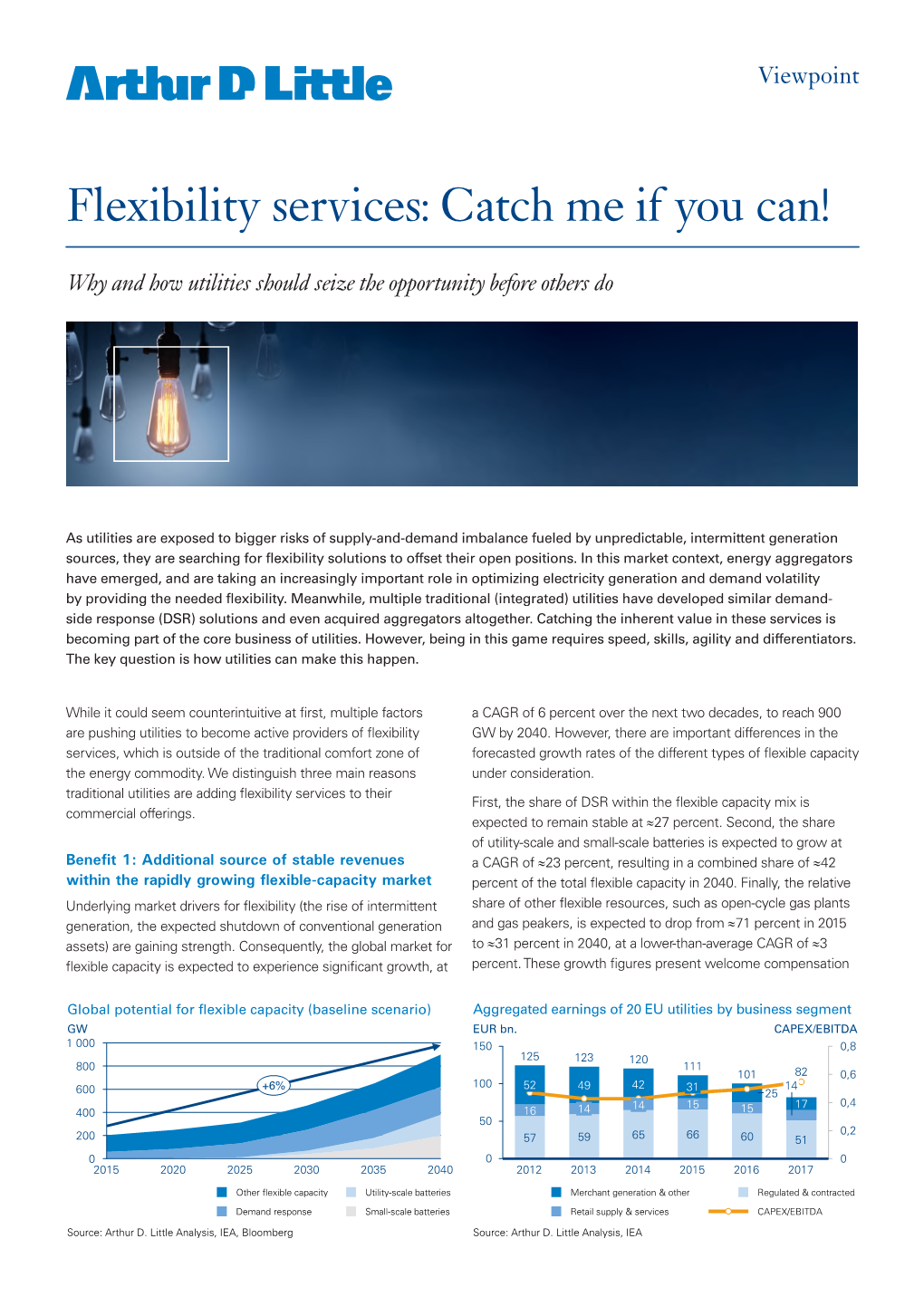 Flexibility Services: Catch Me If You Can!