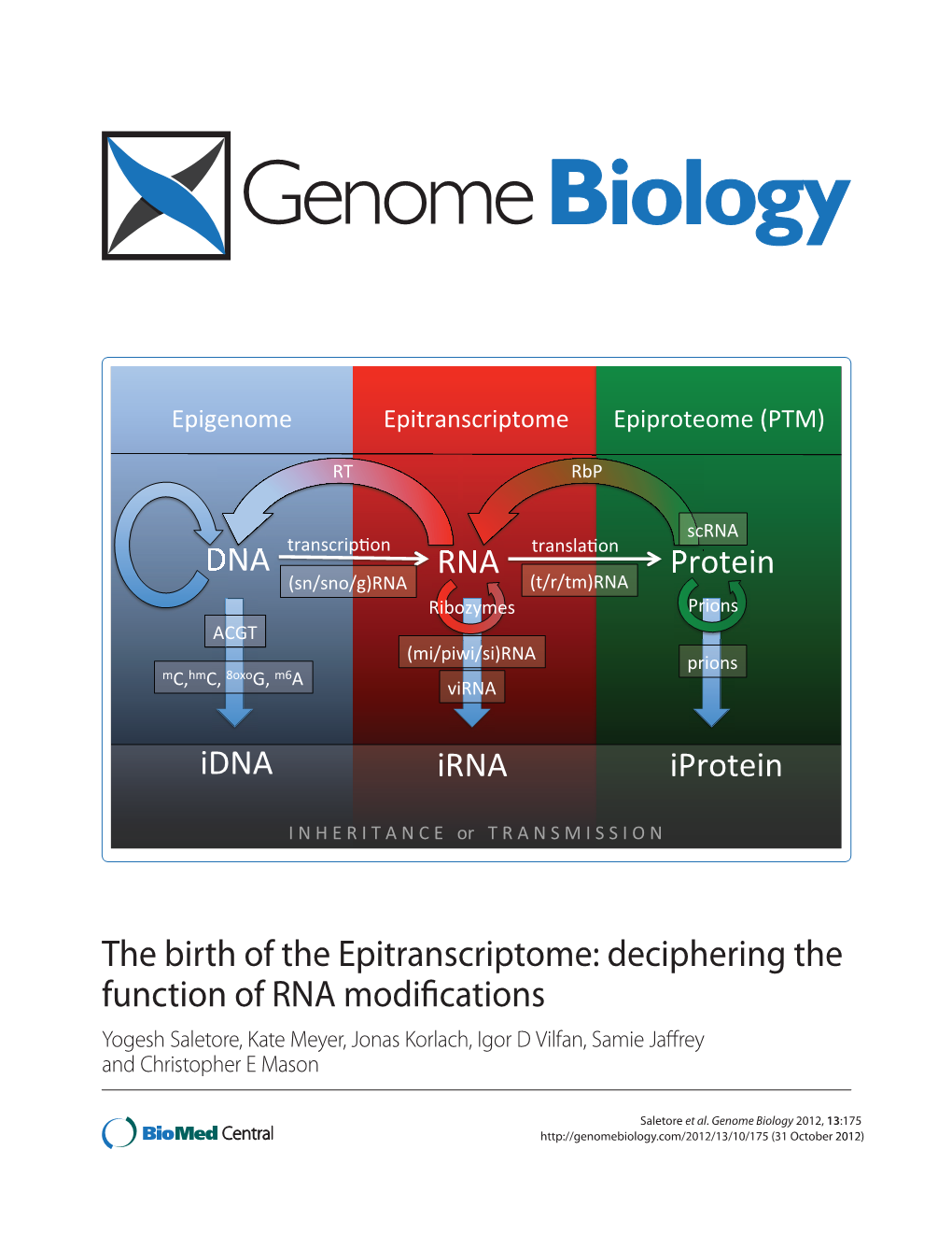 The Birth of the Epitranscriptome: Deciphering the Function of RNA
