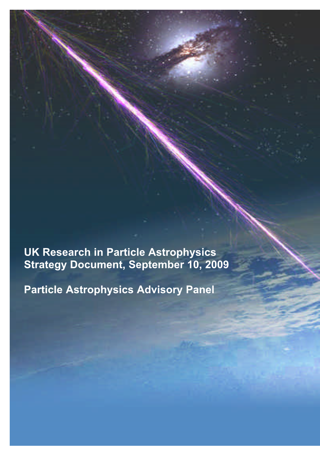 PAAP 2009 Report.Pdf