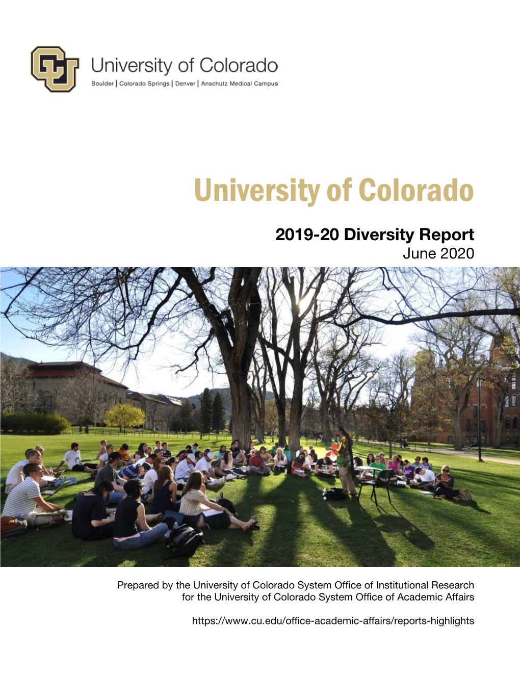 2019-20 Diversity Report June 2020