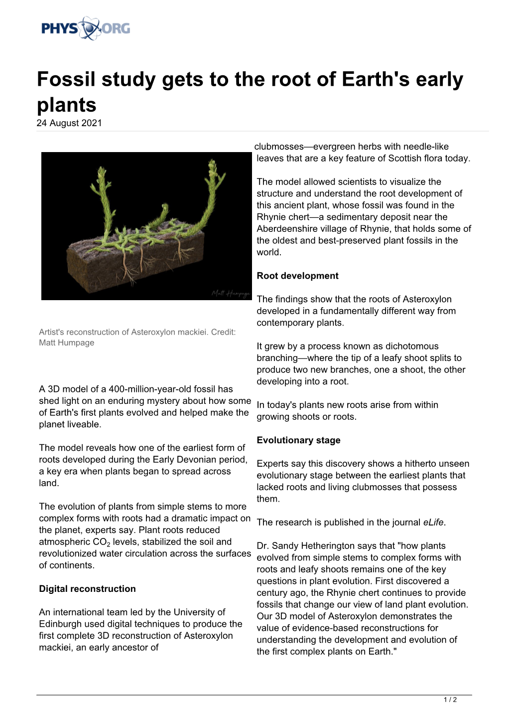 Fossil Study Gets to the Root of Earth's Early Plants 24 August 2021