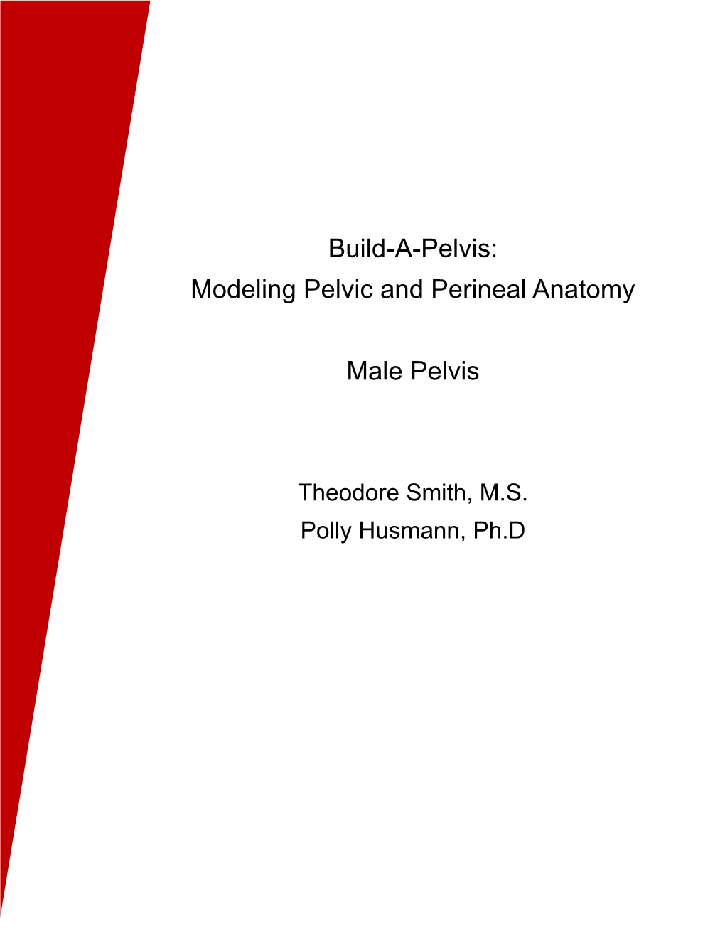 Build-A-Pelvis: Modeling Pelvic and Perineal Anatomy Male Pelvis