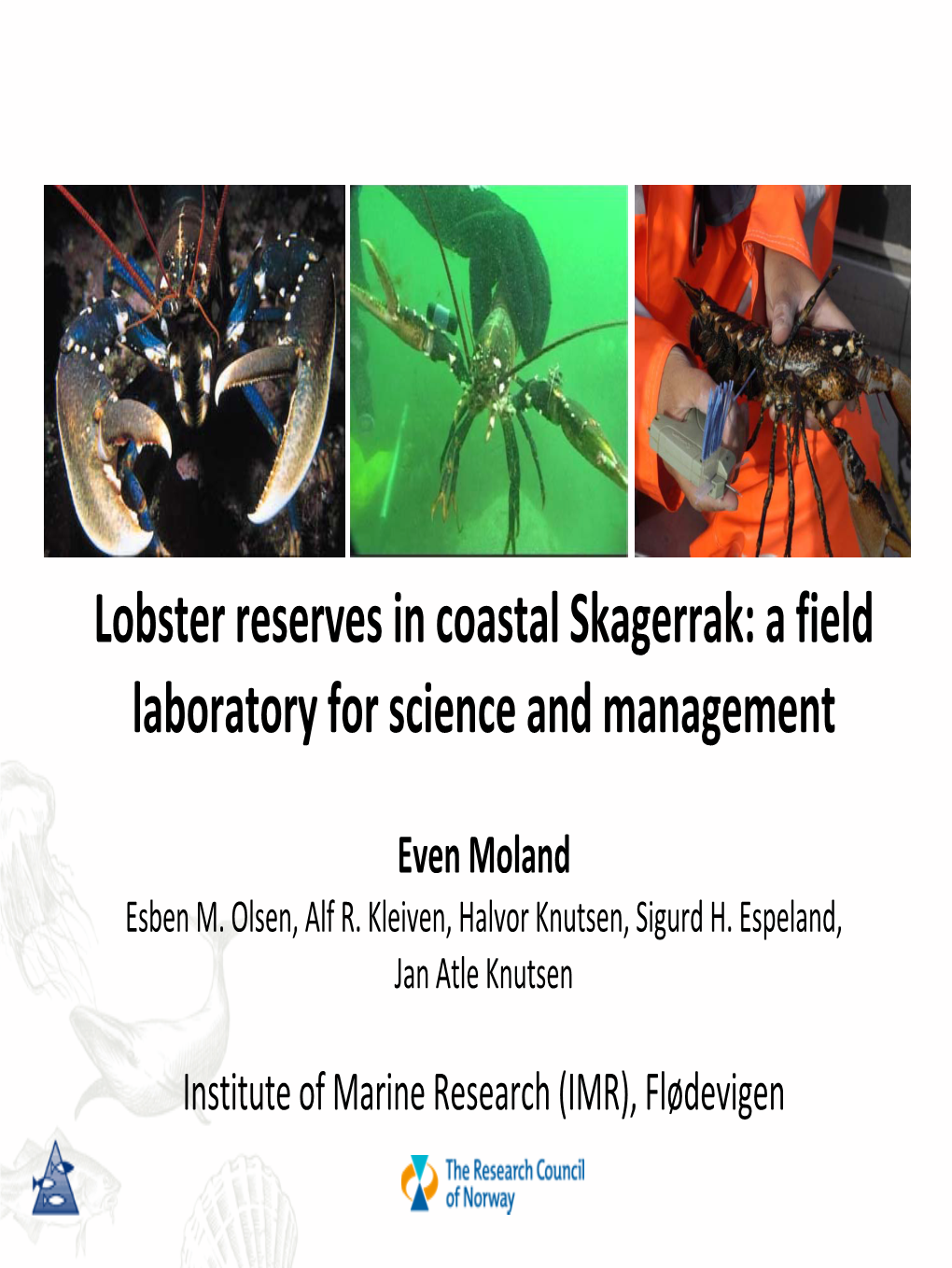 Lobster Reserves in Coastal Skagerrak: a Field Laboratory for Science and Management