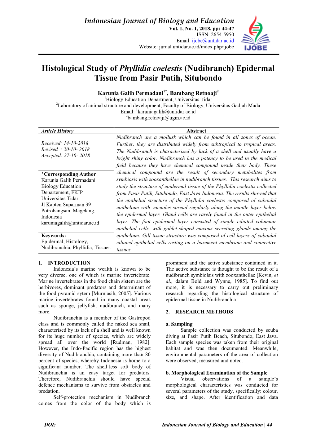 Histological Study of Phyllidia Coelestis (Nudibranch) Epidermal Tissue from Pasir Putih, Situbondo