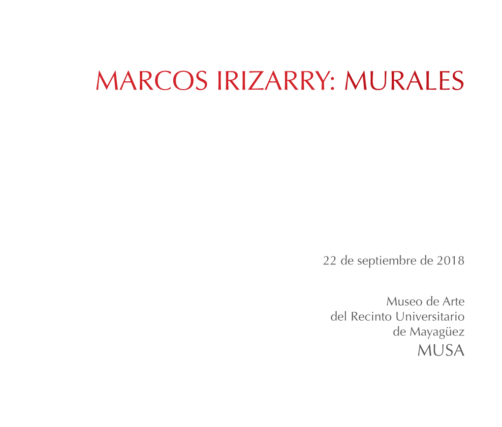 Marcos Irizarry: Murales