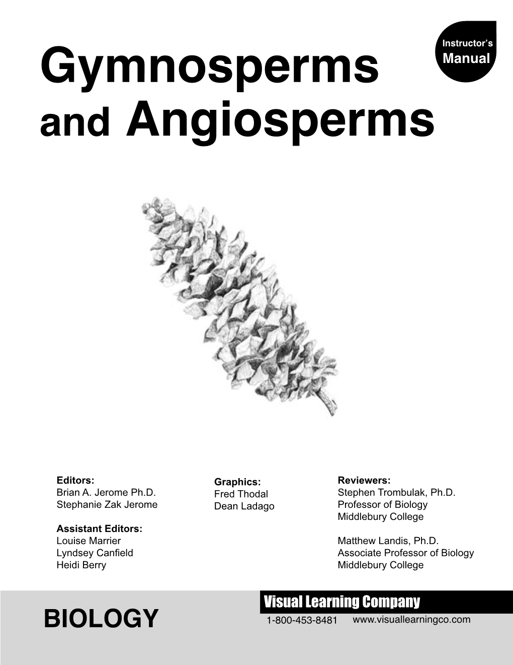 Gymnosperms and Angiosperms Gymnosperms and Angiosperms