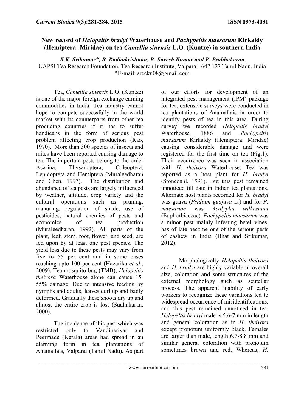 New Record of Helopeltis Bradyi Waterhouse and Pachypeltis Maesarum Kirkaldy (Hemiptera: Miridae) on Tea Camellia Sinensis L.O