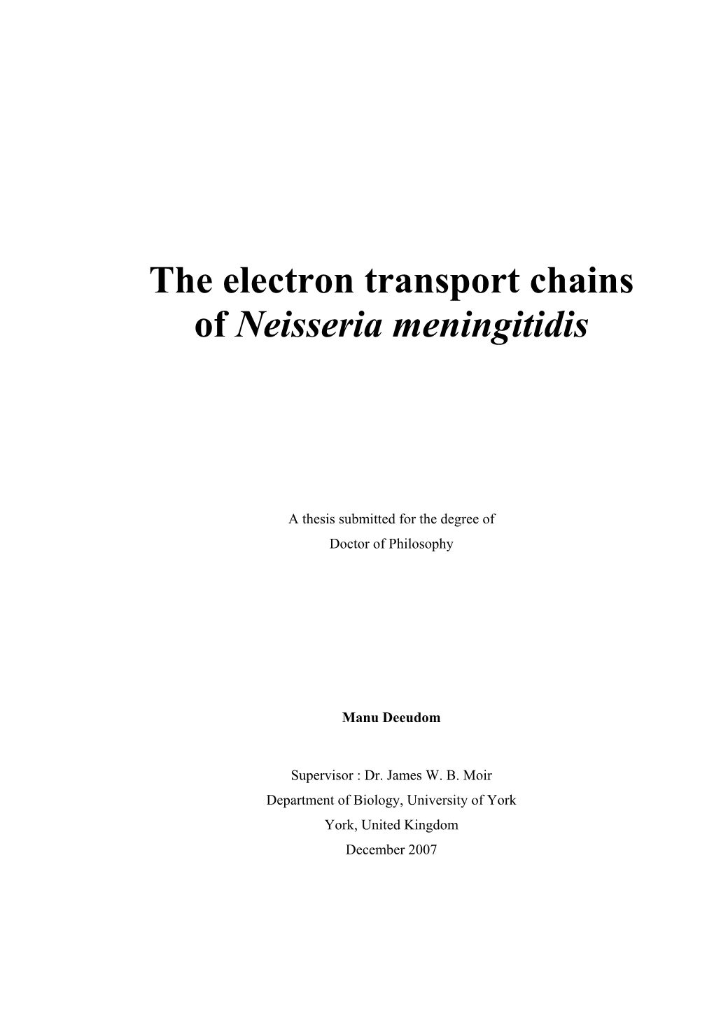 The Electron Transport Chains of Neisseria Meningitidis