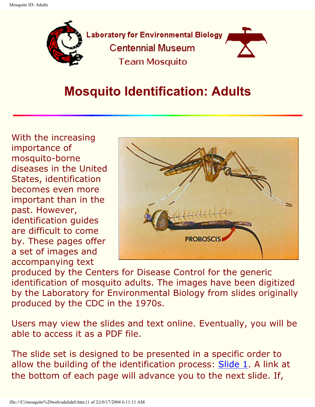 Mosquito Identification: Adults
