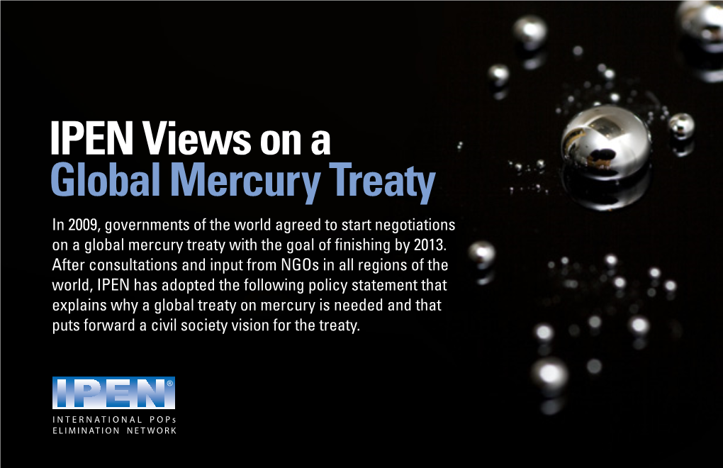 IPEN Views on a Global Mercury Treaty in 2009, Governments of the World Agreed to Start Negotiations on a Global Mercury Treaty with the Goal of Finishing by 2013