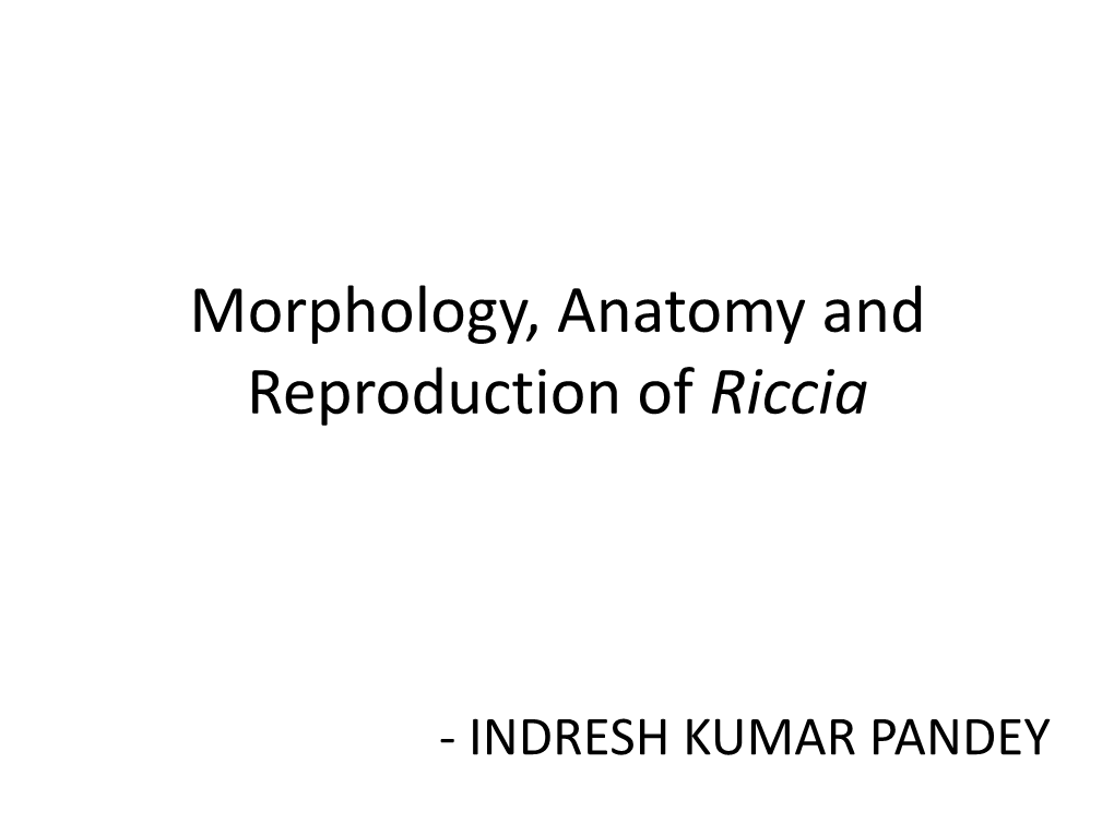 Morphology, Anatomy and Reproduction of Riccia