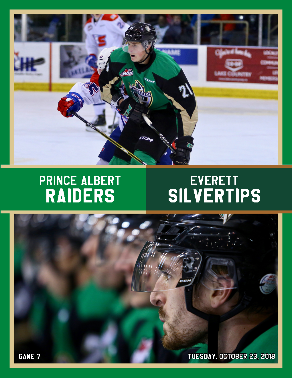 Prince Albert Raiders