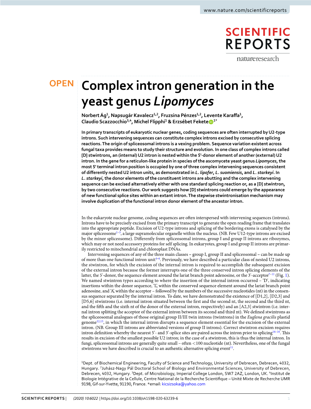 Complex Intron Generation in the Yeast Genus Lipomyces