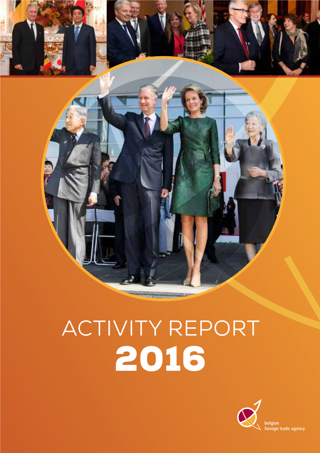 Activity Report 2016