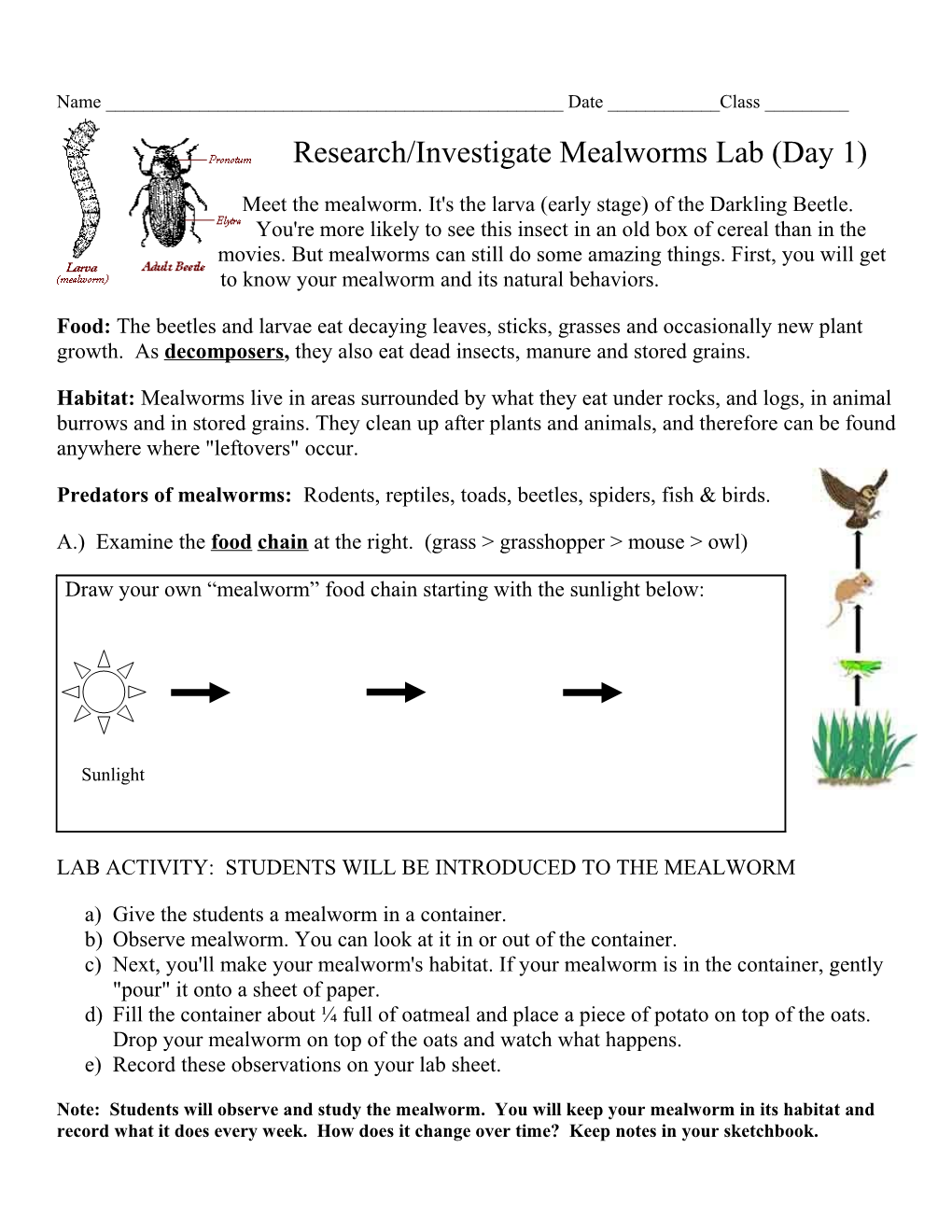 Lesson Plan Form s4