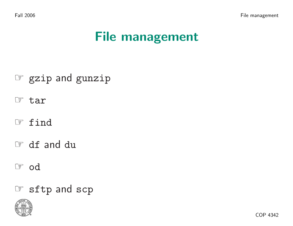 File Management File Management
