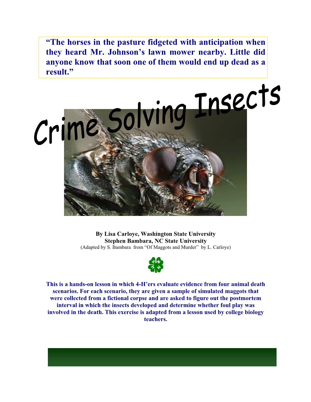 Crime Solving Insects