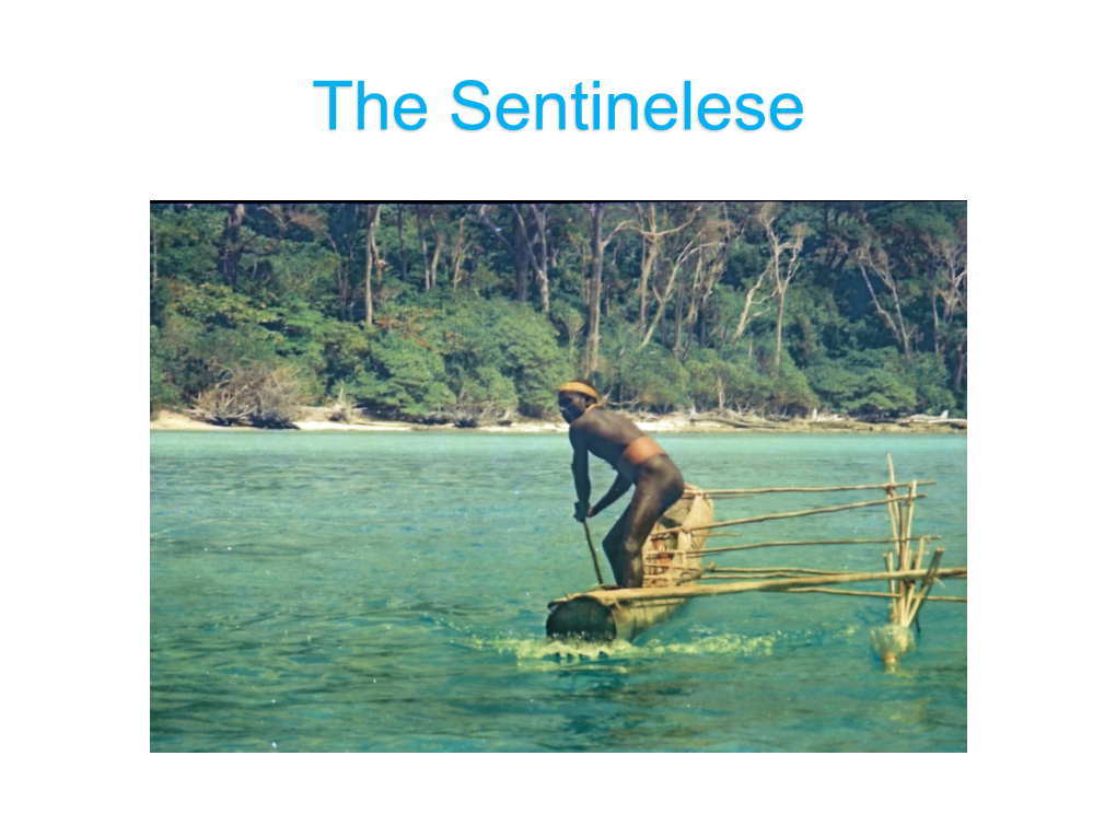 The Sentinelese