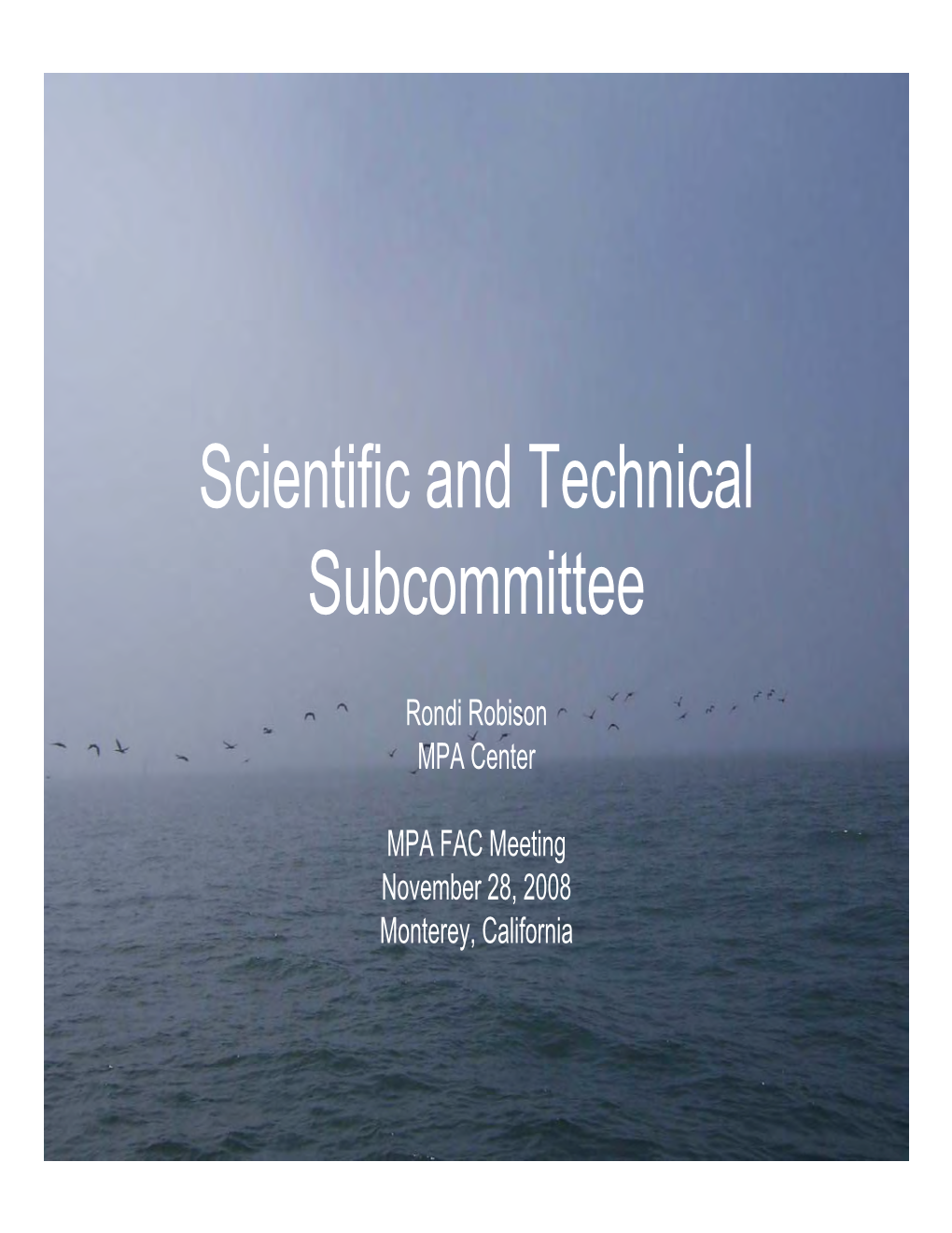 Scientific and Technical Subcommittee