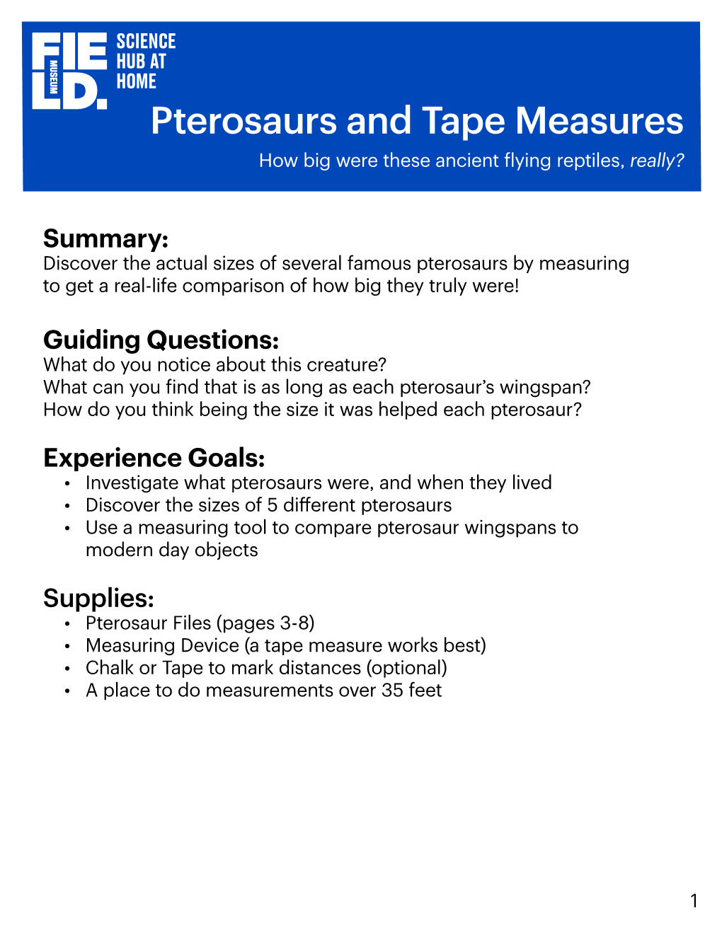 Pterosaurs and Tape Measures How Big Were These Ancient Flying Reptiles, Really?