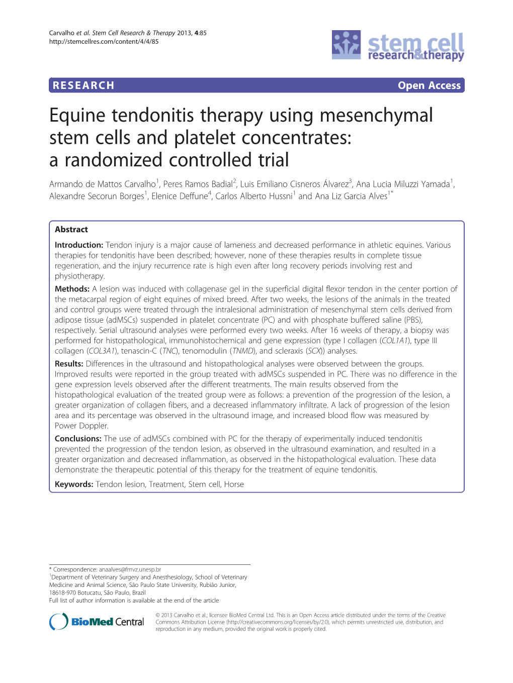 Equine Tendonitis Therapy Using Mesenchymal Stem Cells And