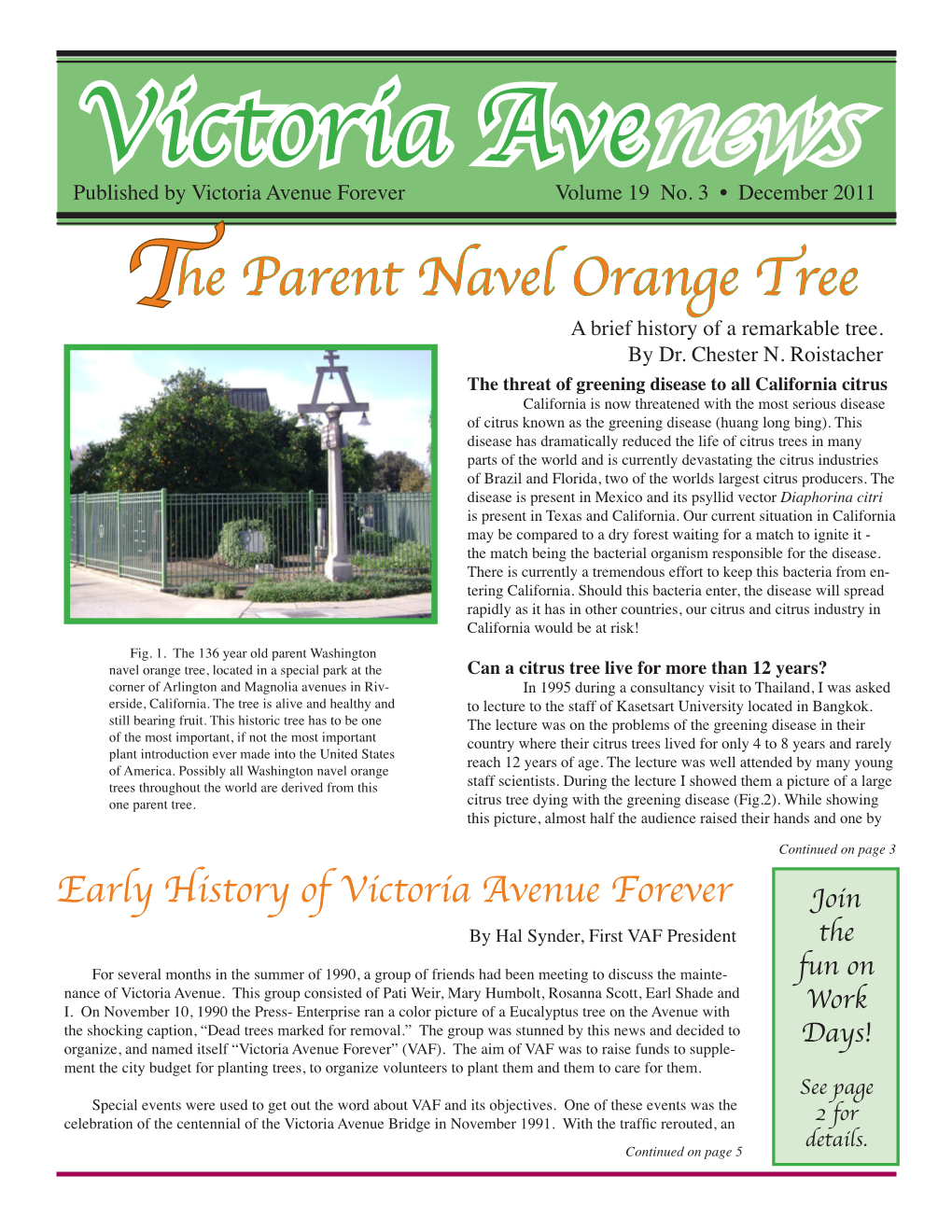He Parent Navel Orange Tree T a Brief History of a Remarkable Tree
