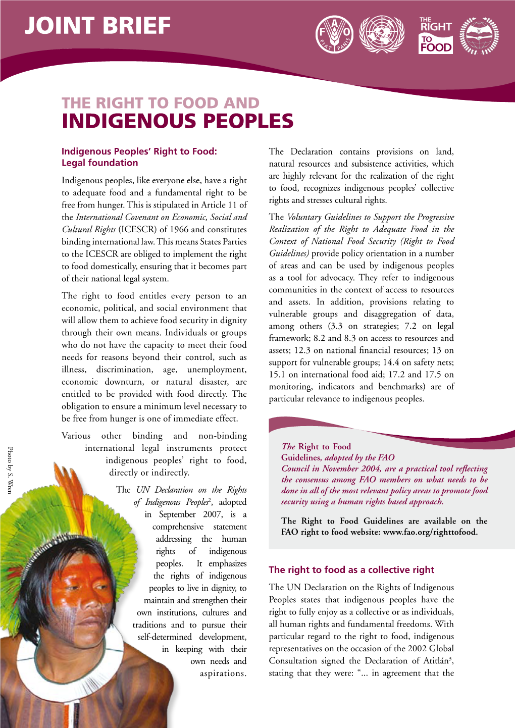 The Right to Food. Indigenous Peoples Realisation of Right to Food