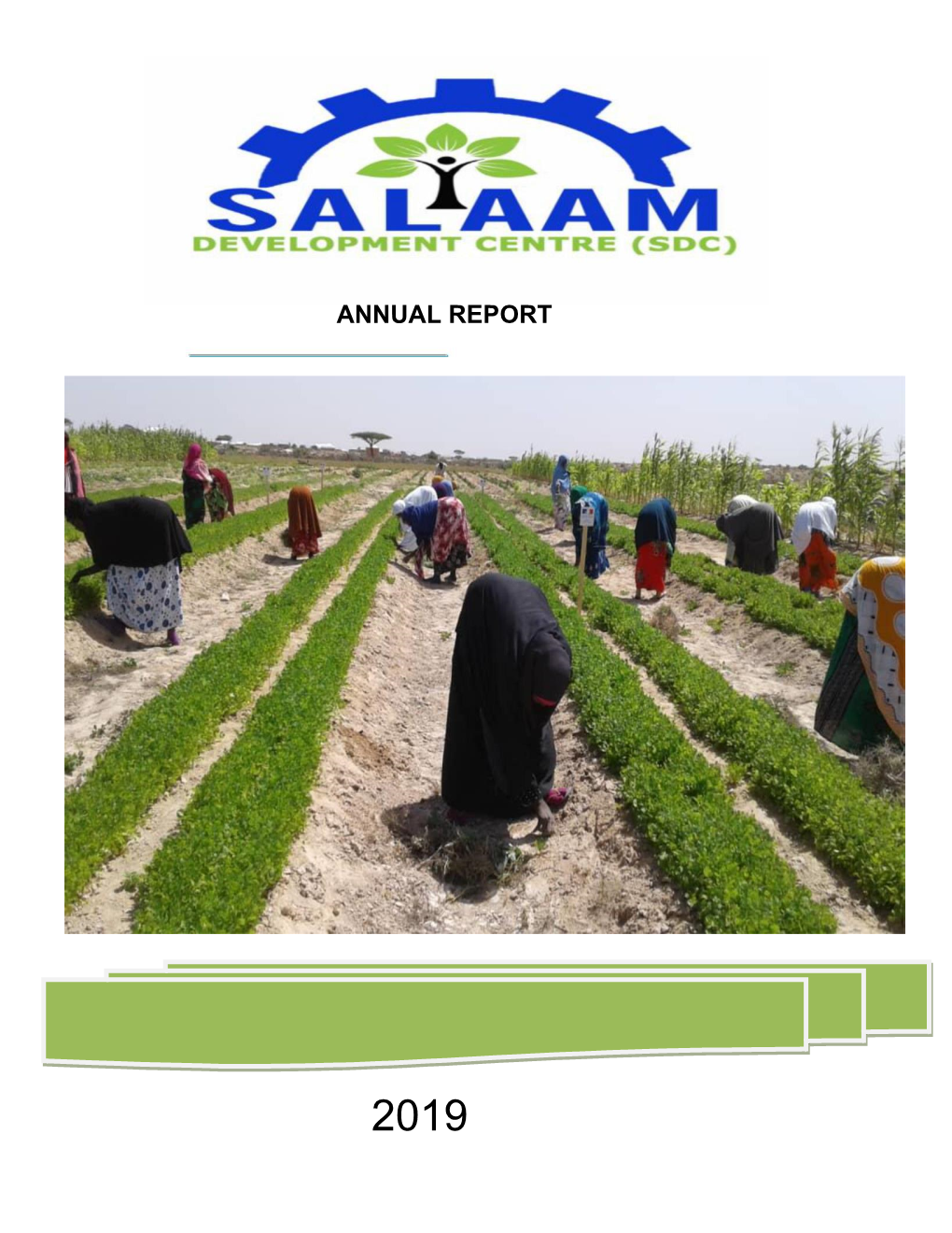 SDC Annual Report 2019