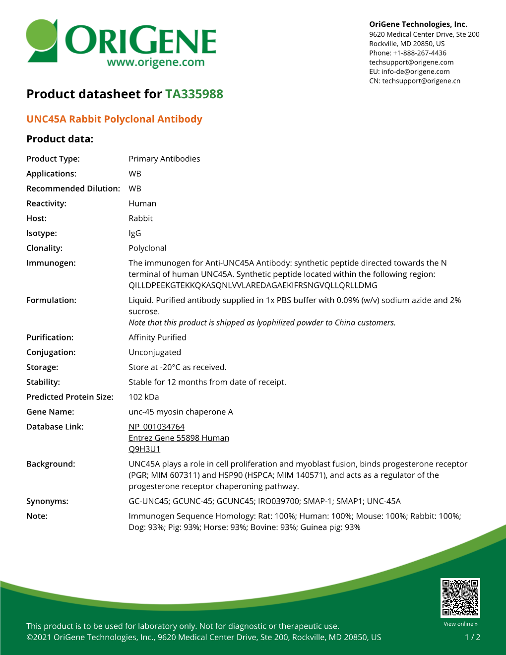 UNC45A Rabbit Polyclonal Antibody – TA335988 | Origene