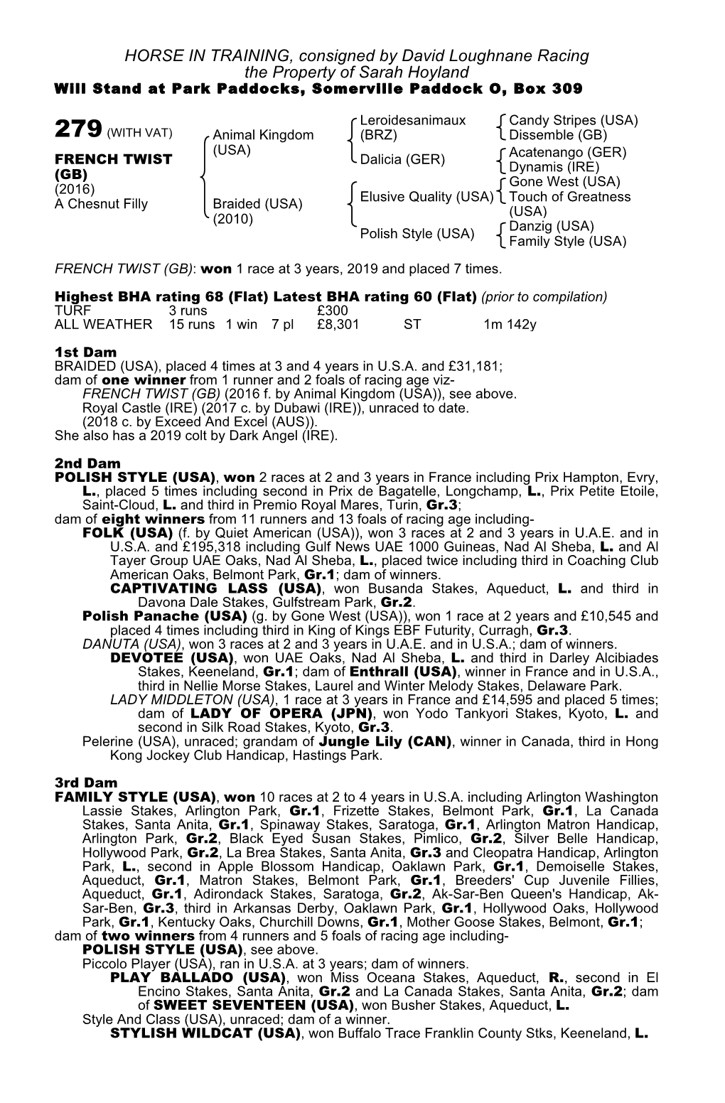 HORSE in TRAINING, Consigned by David Loughnane Racing the Property of Sarah Hoyland Will Stand at Park Paddocks, Somerville Paddock O, Box 309