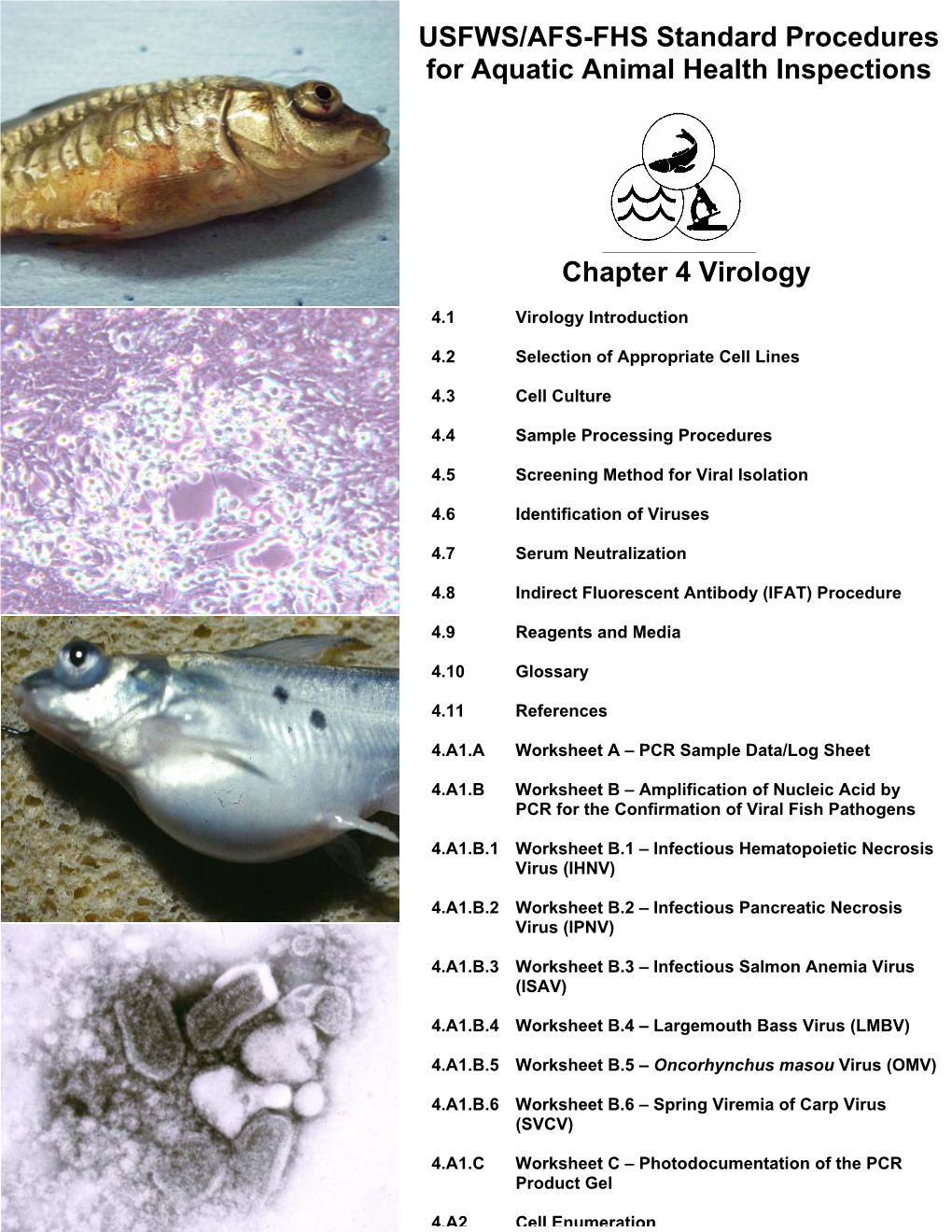 Chapter 4: Virology