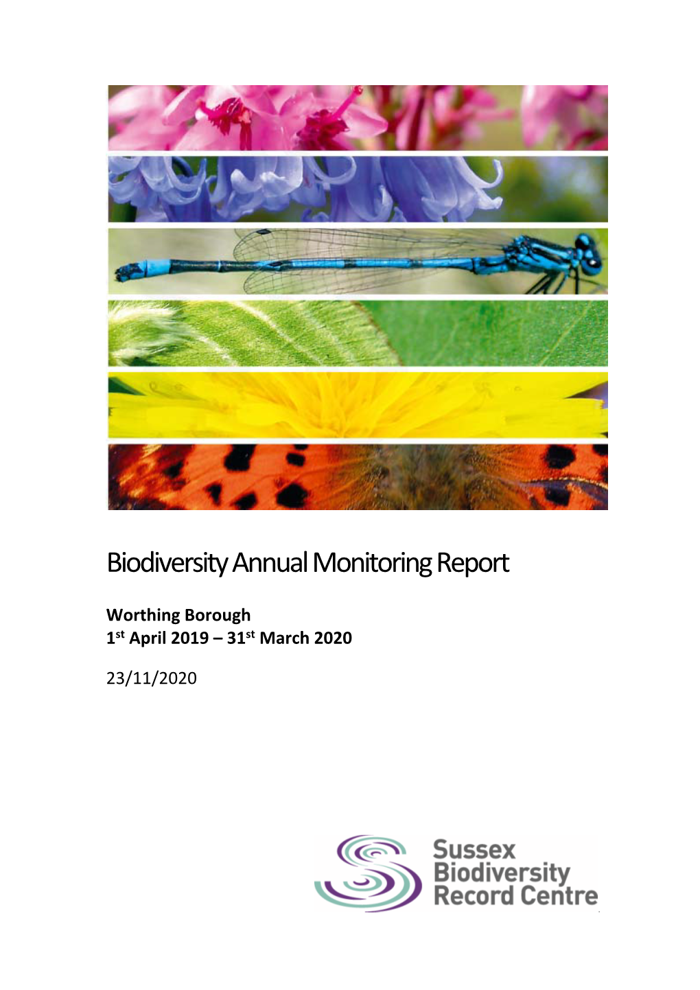 Worthing Biodiversity Annual Monitoring Report 2020