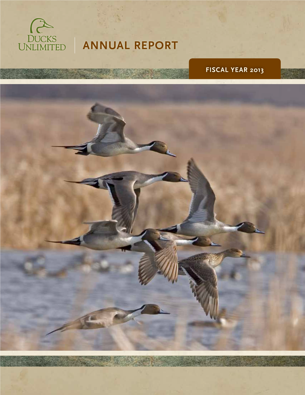 View the 2013 Annual Report As A