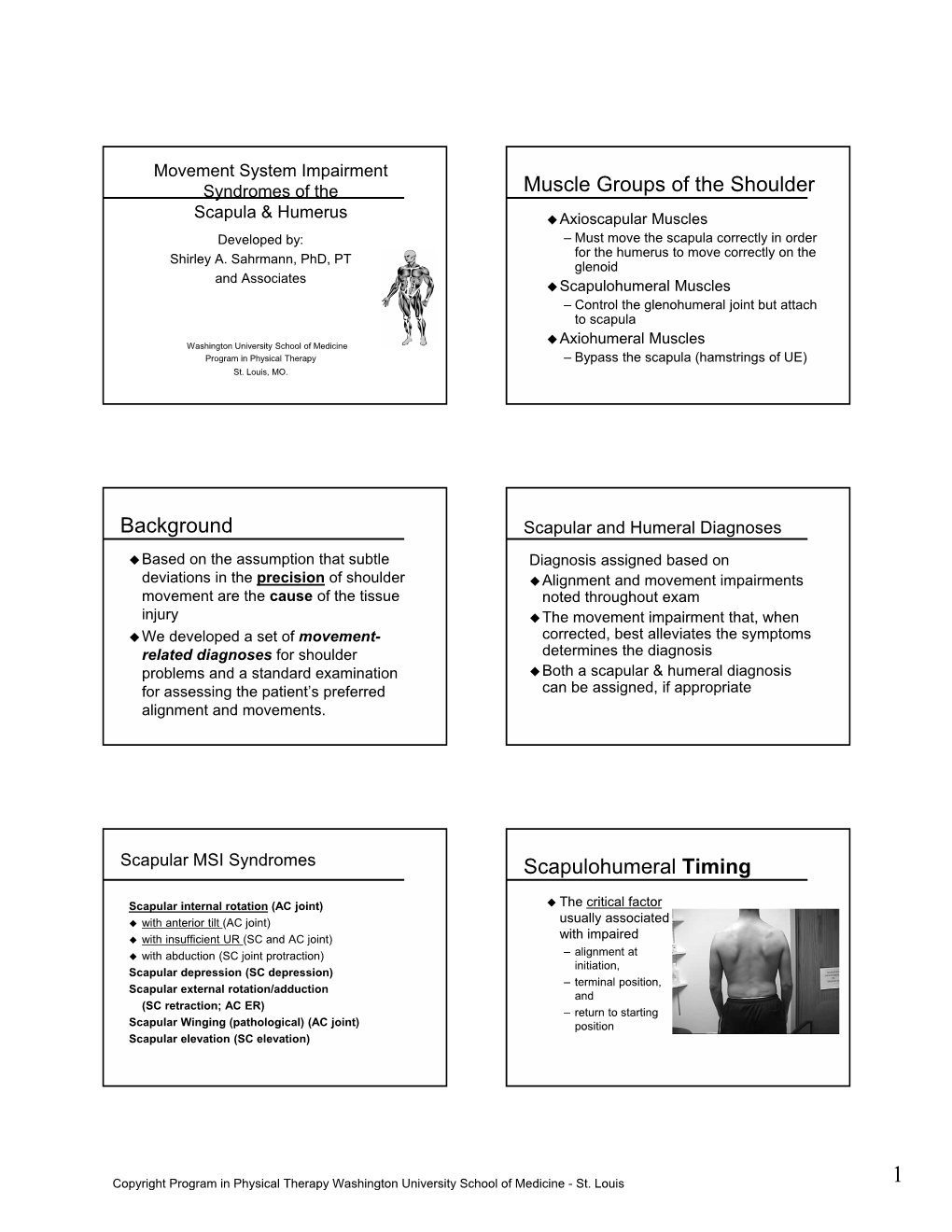 Muscle Groups of the Shoulder Background Scapulohumeral Timing