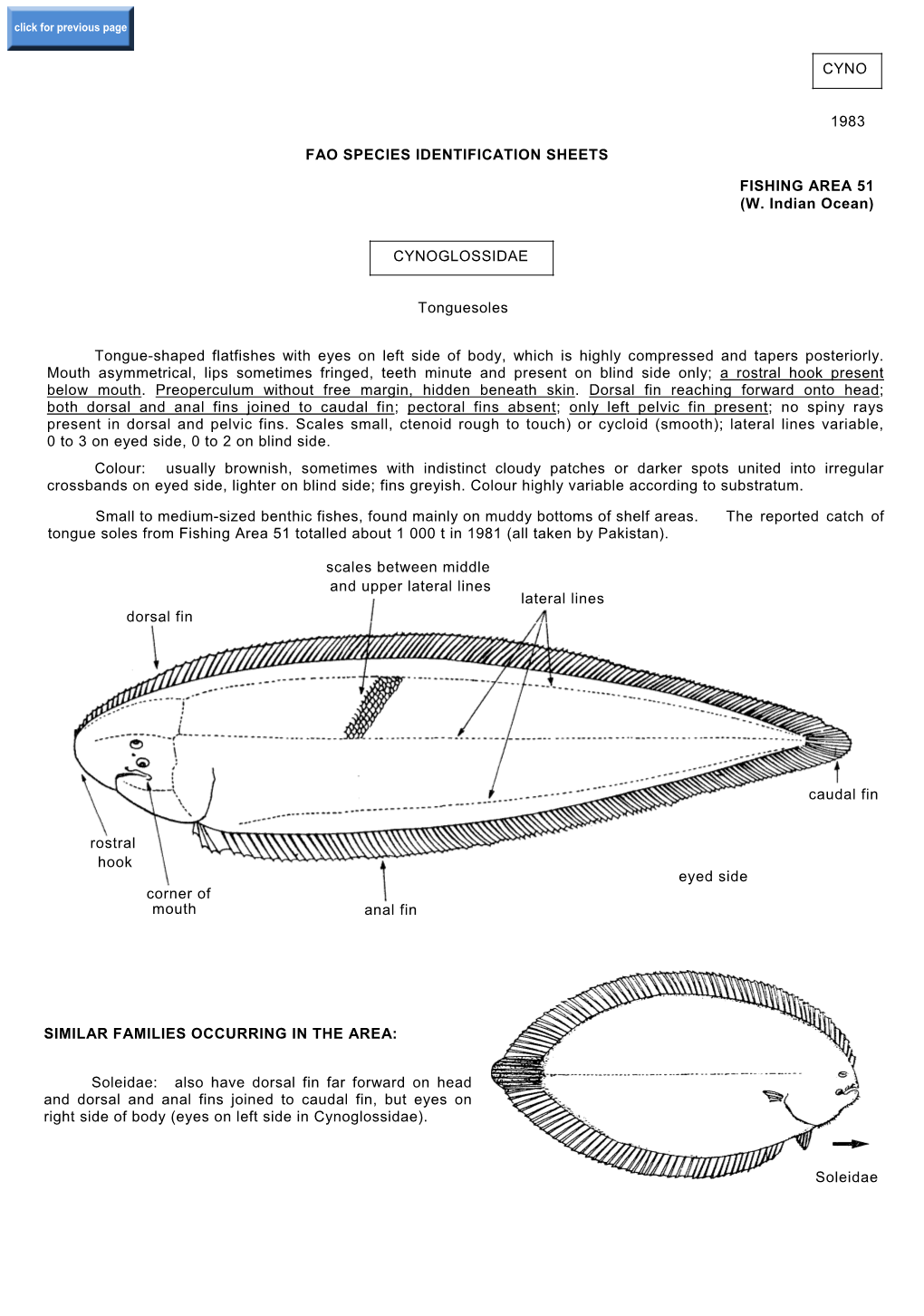 Cyno 1983 Fao Species Identification Sheets