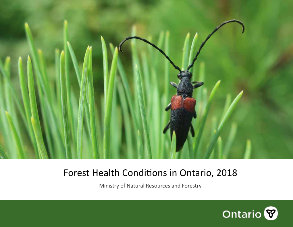 Forest Health Conditions in Ontario, 2018 Ministry of Natural Resources and Forestry Forest Health Conditions in Ontario, 2018