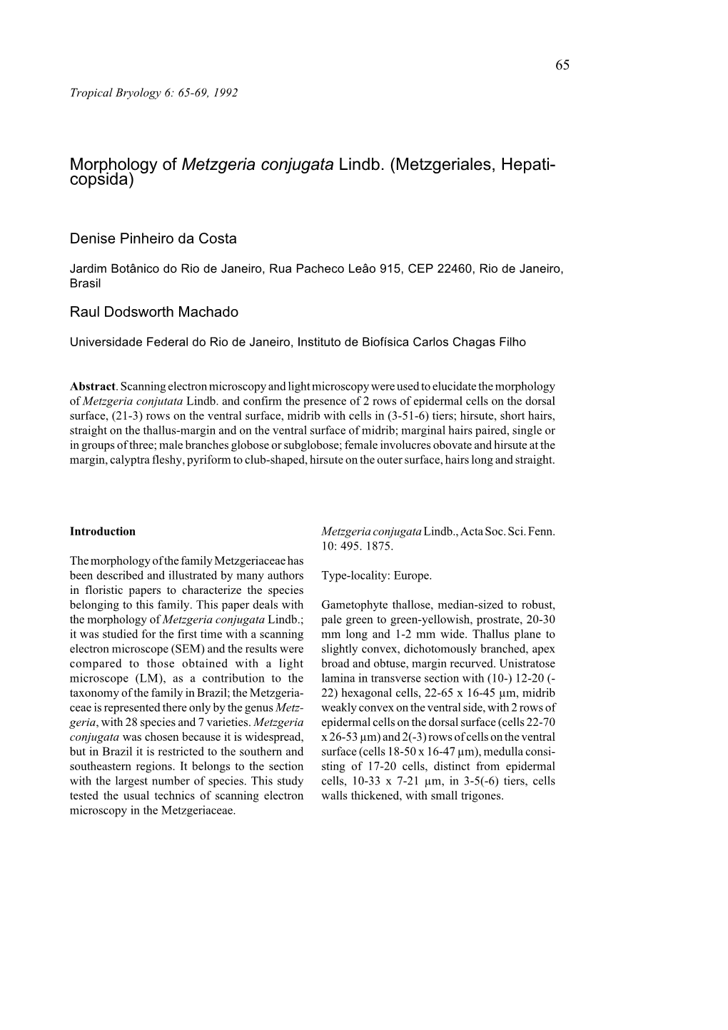Morphology of Metzgeria Conjugata Lindb. (Metzgeriales, Hepati- Copsida)