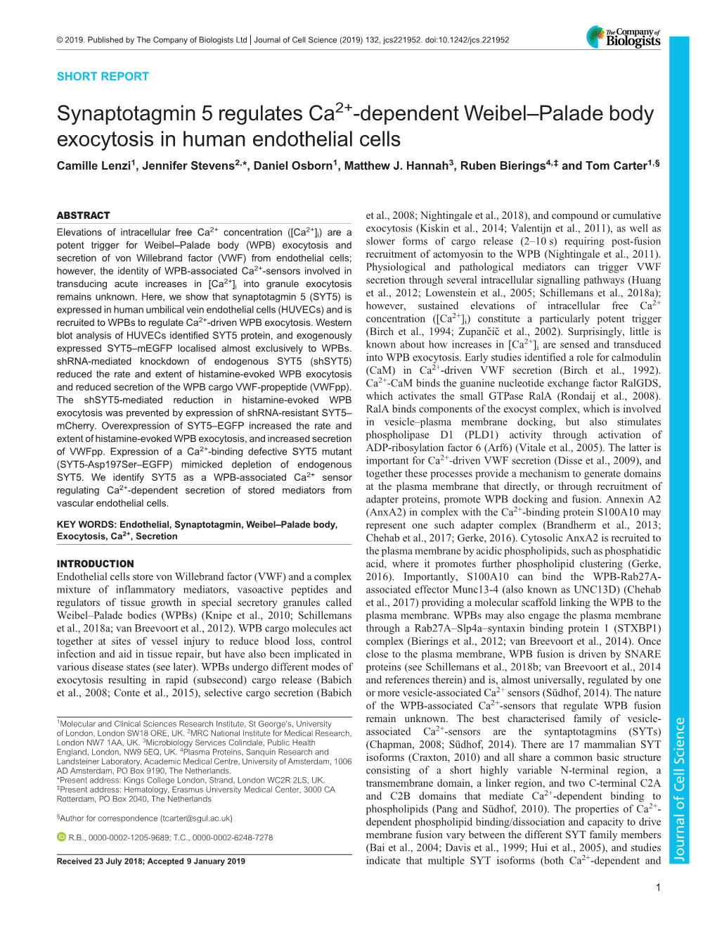 Synaptotagmin 5 Regulates Ca2+-Dependent Weibel–Palade Body Exocytosis in Human Endothelial Cells Camille Lenzi1, Jennifer Stevens2,*, Daniel Osborn1, Matthew J