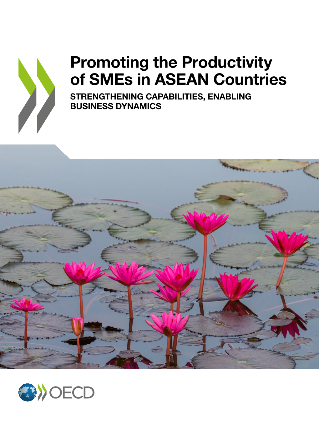 Promoting the Productivity of Smes in ASEAN Countries