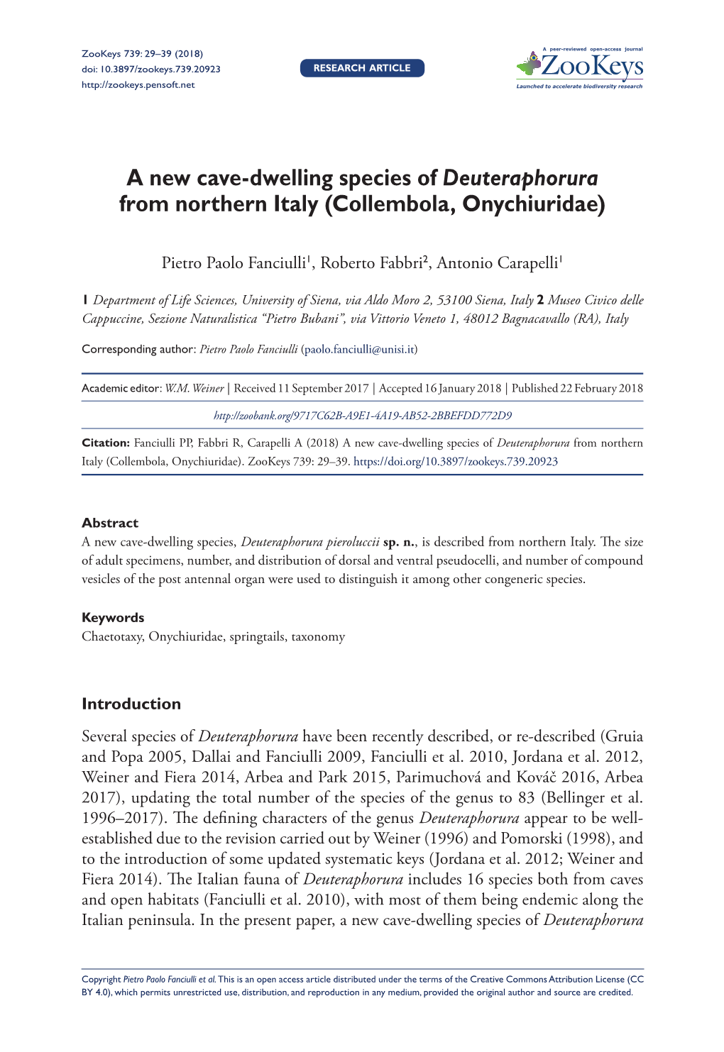 A New Cave-Dwelling Species of Deuteraphorura from Northern Italy