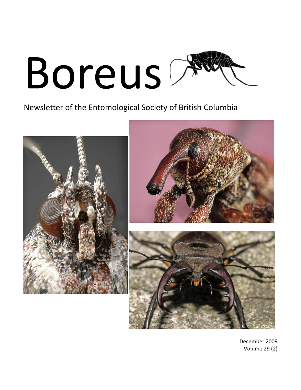 Newsletter of the Entomological Society of British Columbia