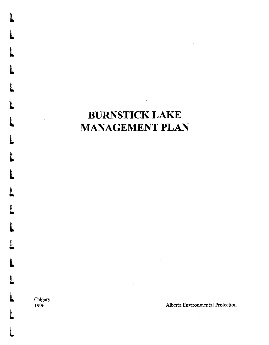 Burnstick Lake Management Plan