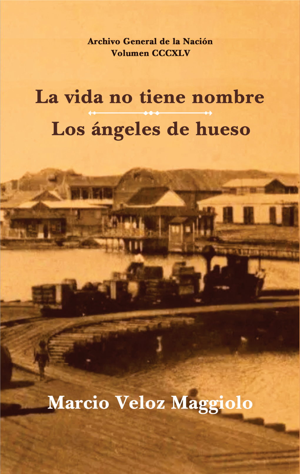 Book La Vida No Tiene Nombre Y Los Ángeles De Hueso.Indb