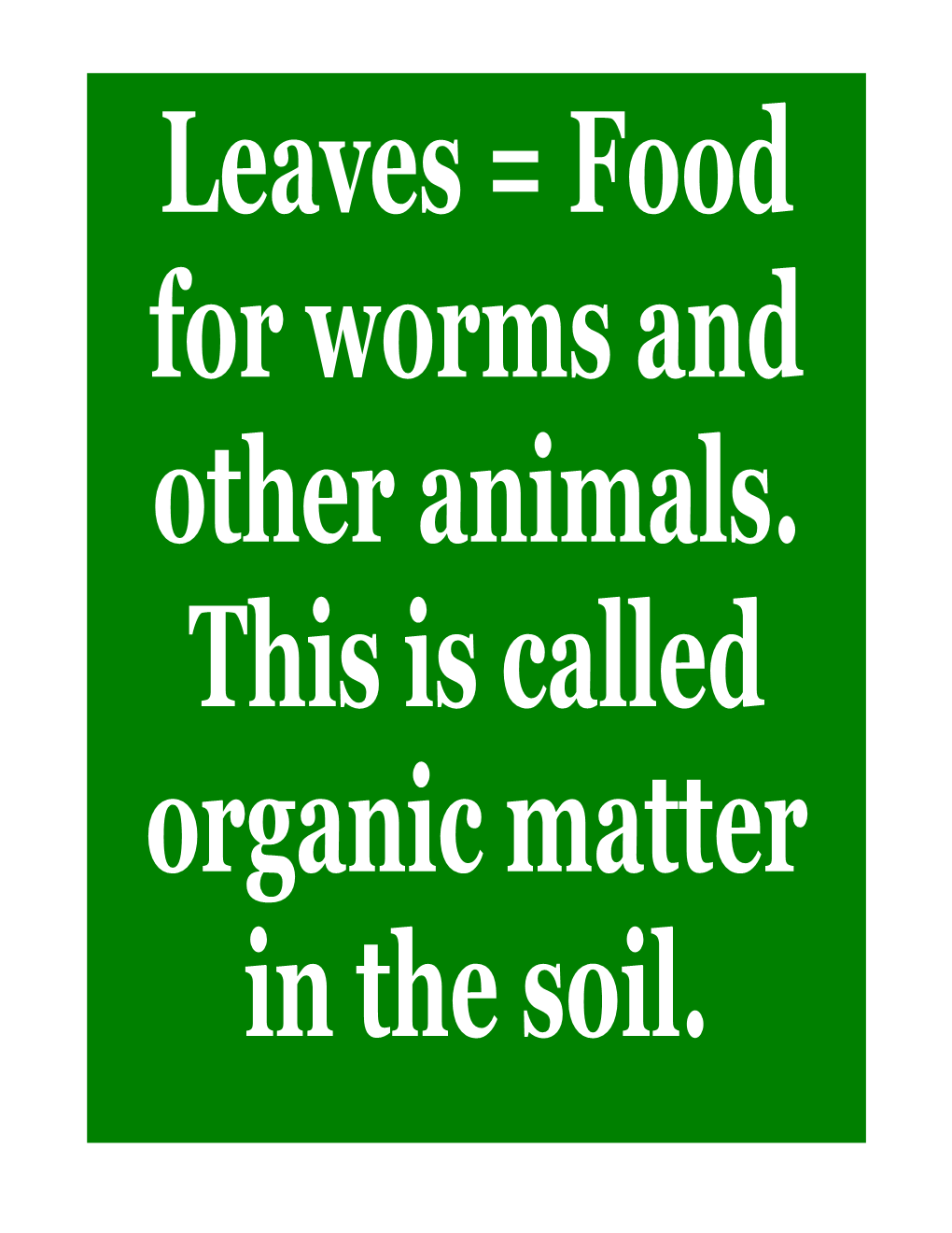 Worm & Soil Facts