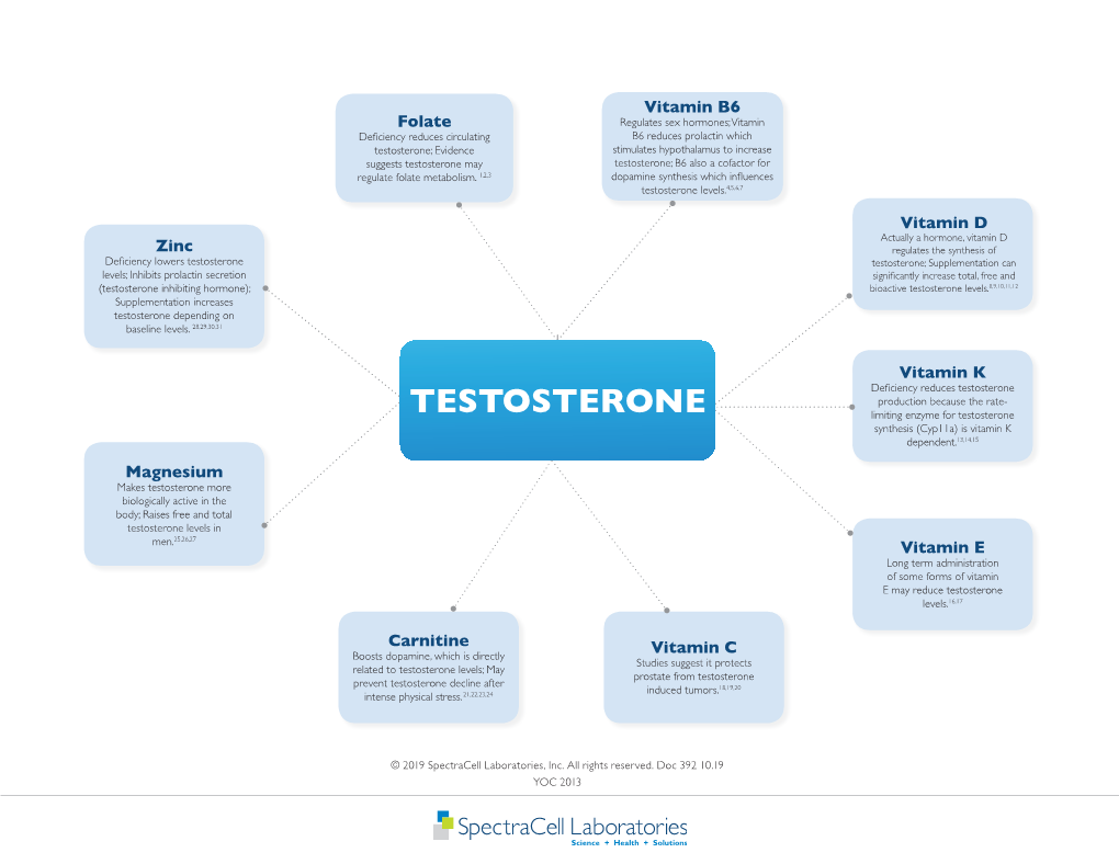 Testosterone; Evidence Stimulates Hypothalamus to Increase Suggests Testosterone May Testosterone; B6 Also a Cofactor for Regulate Folate Metabolism