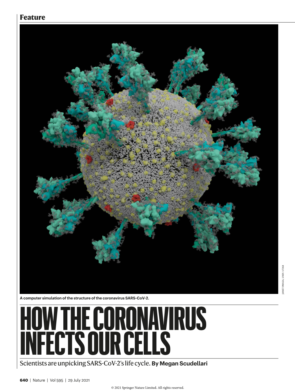 HOW the CORONAVIRUS INFECTS OUR CELLS Scientists Are Unpicking SARS-Cov-2’S Life Cycle