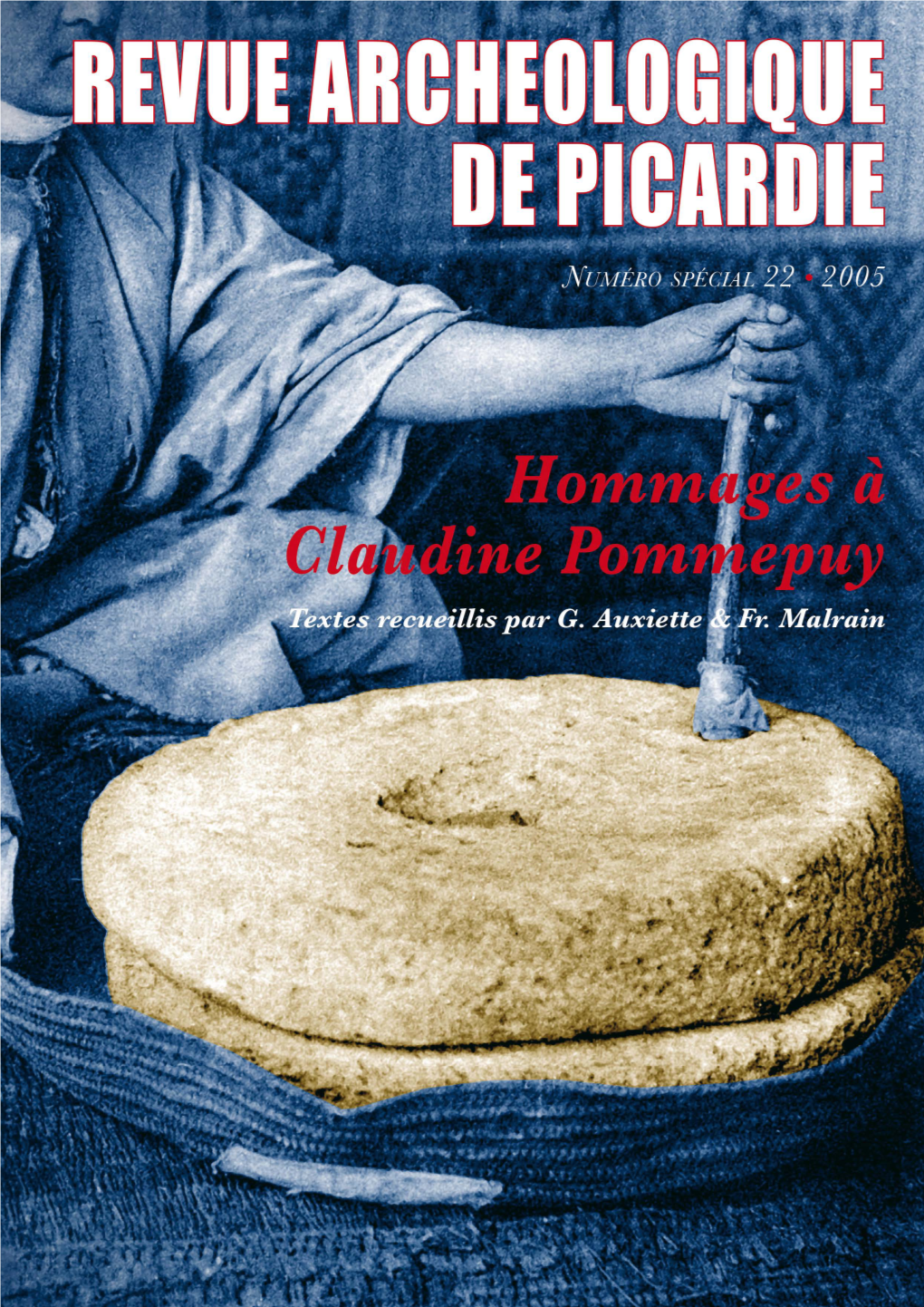 Hachem, Dubouloz, Coudart Et Demoule 2005 .Pdf