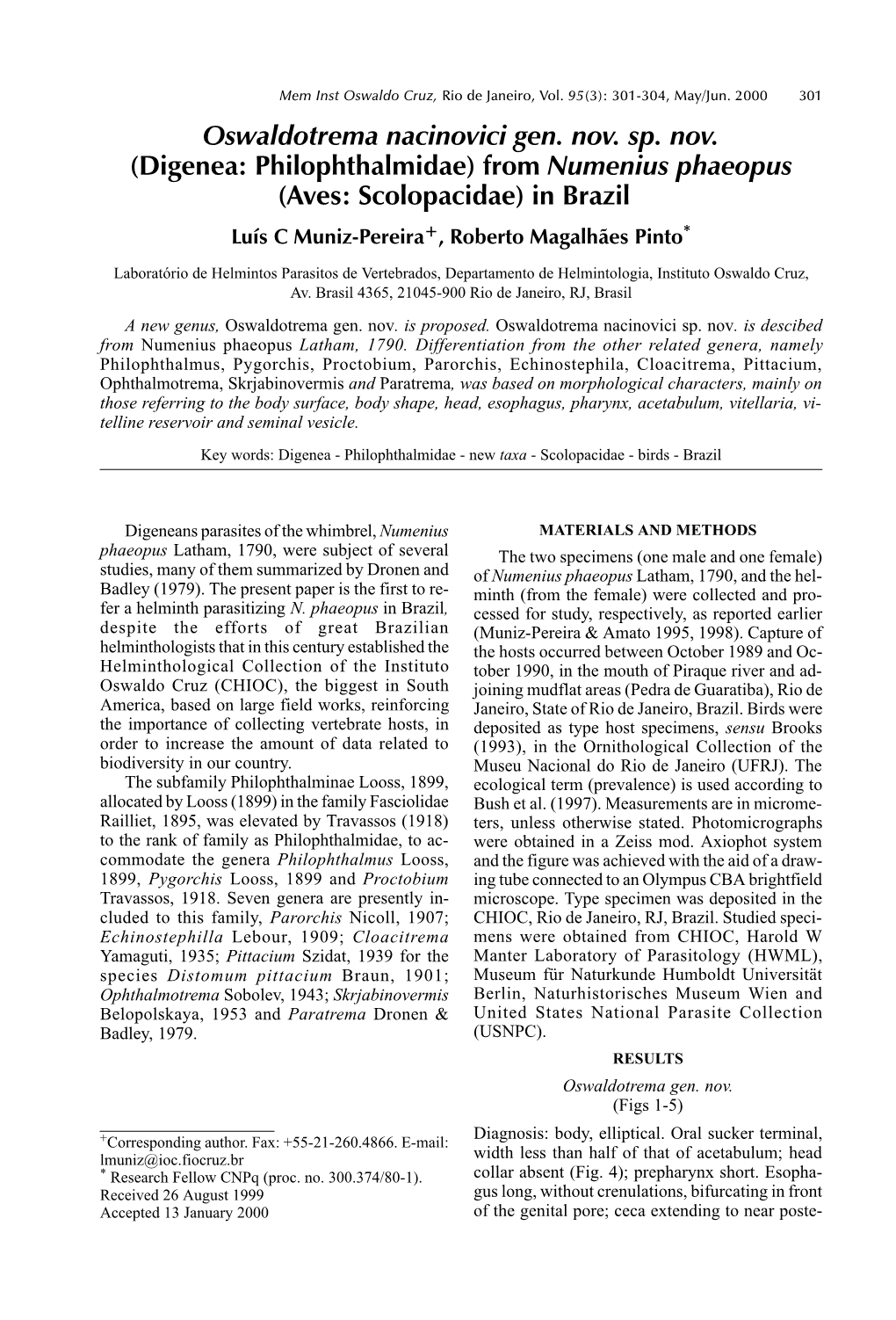 (Digenea: Philophthalmidae) from Numenius Phaeopus (Aves: Scolopacidae) in Brazil Luís C Muniz-Pereira+, Roberto Magalhães Pinto*