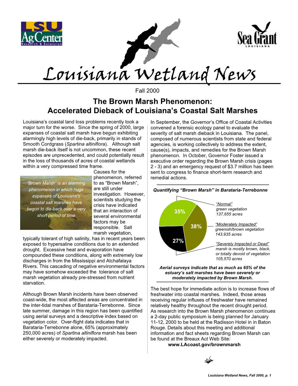 Fall 2000 the Brown Marsh Phenomenon: Accelerated Dieback of Louisiana’S Coastal Salt Marshes