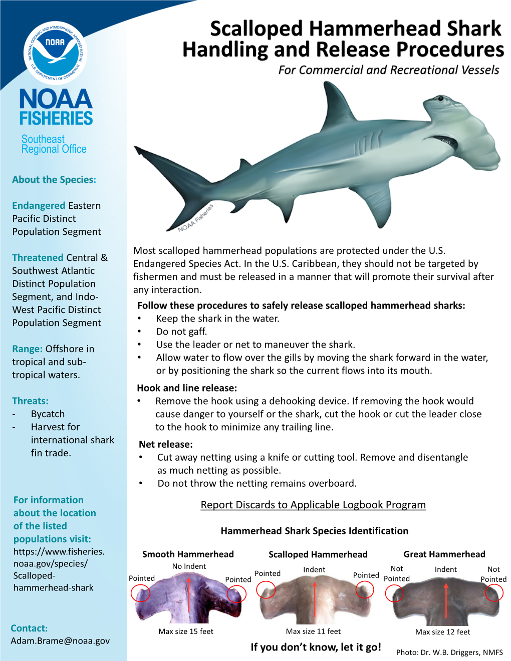 Scalloped Hammerhead Shark Handling and Release Procedures for Commercial and Recreational Vessels